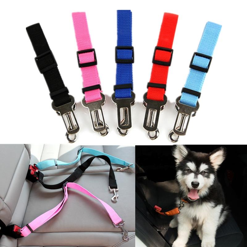 BeltPet™ Ceinture de siège pour Chien - Les Ptits Pwalus