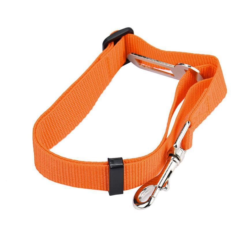 BeltPet™ Ceinture de siège pour Chien - Les Ptits Pwalus