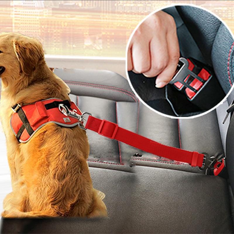 BeltPet™ Ceinture de siège pour Chien - Les Ptits Pwalus