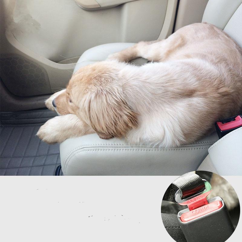 BeltPet™ Ceinture de siège pour Chien - Les Ptits Pwalus
