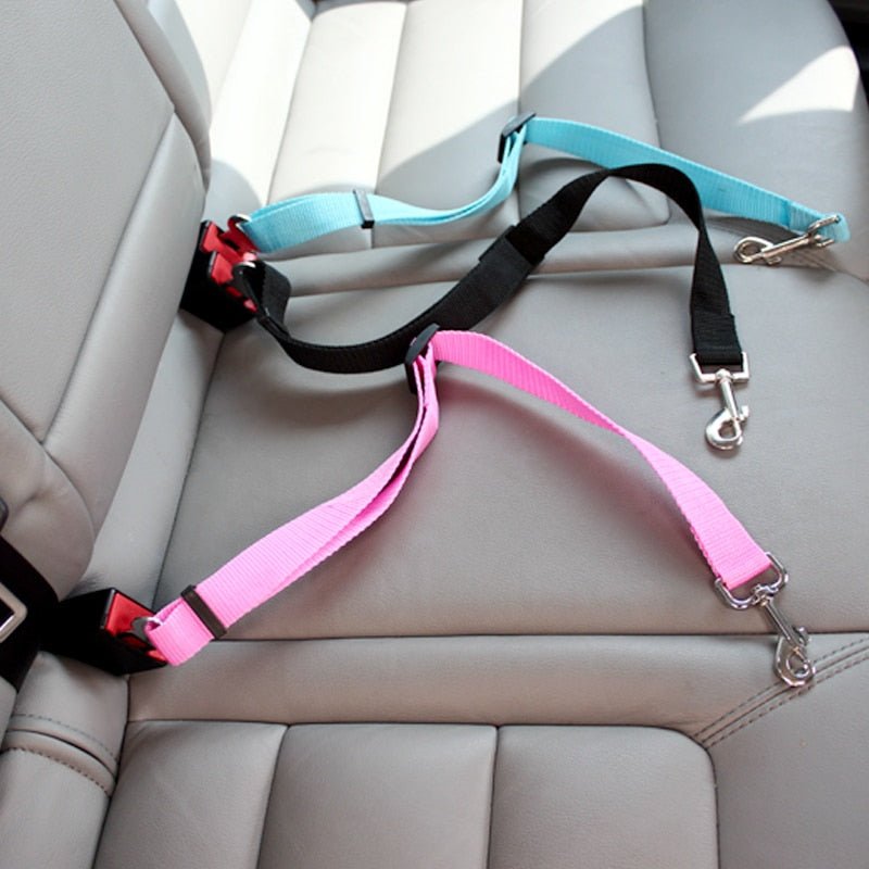 BeltPet™ Ceinture de siège pour Chien - Les Ptits Pwalus