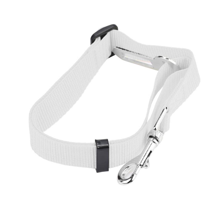 BeltPet™ Ceinture de siège pour Chien - Les Ptits Pwalus