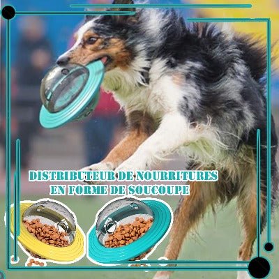 SmartPaws™ - Jouet Interactif distributeur friandise - Les Ptits Pwalus