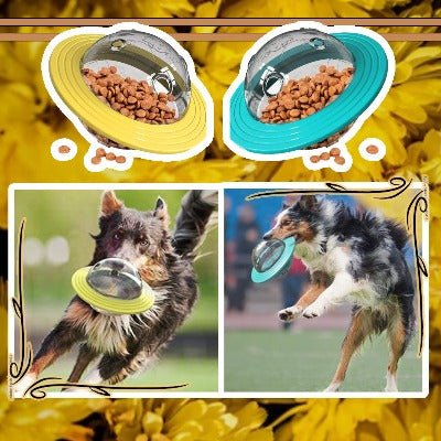 SmartPaws™ - Jouet Interactif distributeur friandise - Les Ptits Pwalus