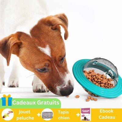 SmartPaws™ - Jouet Interactif distributeur friandise - Les Ptits Pwalus